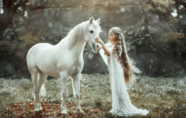 Picture mood, horse, dress, girl, white, long hair, Marketa Novak