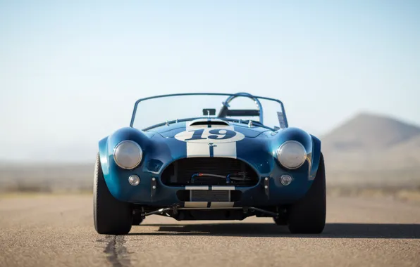 Picture Shelby, Cobra, front view, Shelby Cobra 289