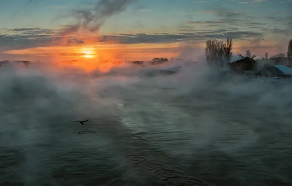 Picture the sun, fog, morning, River