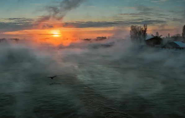 The sun, fog, morning, River