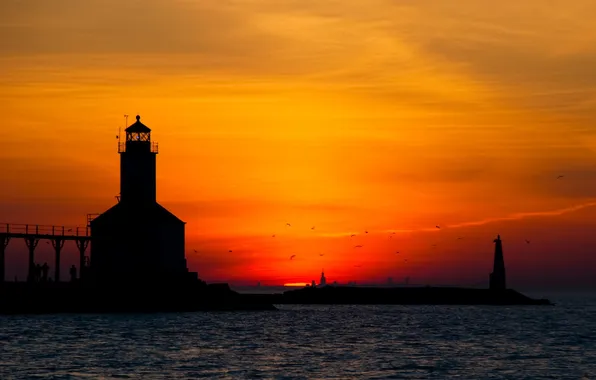 Picture the sky, sunset, birds, the city, lighthouse, seagulls, Chicago, chicago