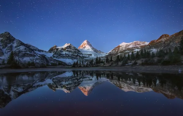 Picture forest, the sky, stars, mountains, night, lake, reflection
