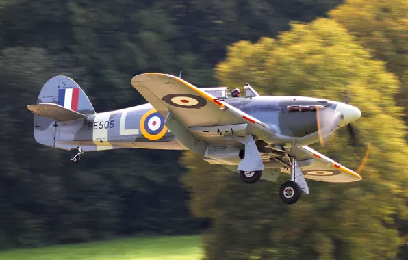 Picture fighter, British, WW2, Hawker, single, &ampquot;Hurricane&ampquot;, Hurricane Mk IIB