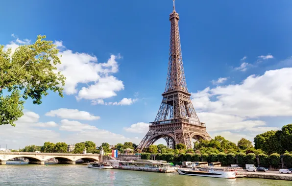 Eiffel tower, branch, Bridge, Paris.