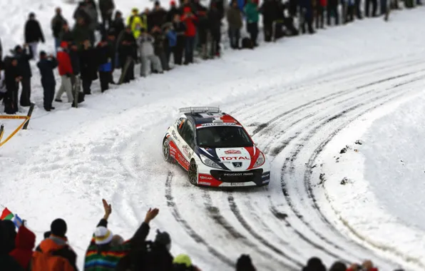 Picture Winter, Auto, Snow, Sport, Machine, People, Turn, Race