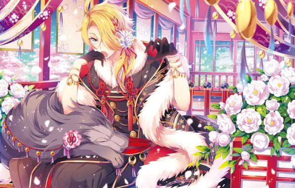 Flowers, anime, art, guy, Touken ranbu