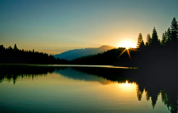 Picture forest, nature, reflection, dawn, morning, mountain lake, morning at Hume Lake