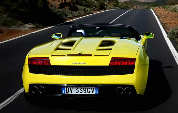 Picture road, convertible, rear view, Lamborghini, lamborghini gallardo lp560-4 spyder