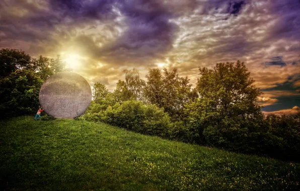 Picture grass, trees, nature