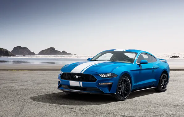 Picture coast, Mustang, Ford, EcoBoost, 2019, Performance Pack