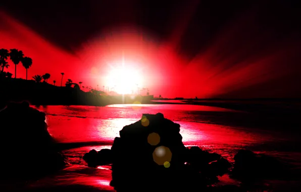 Picture sea, the sky, rays, sunset, stones, palm trees