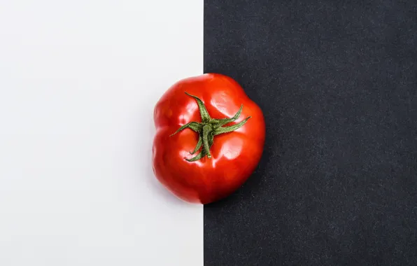 Red, white, minimalism, black, tomato, tomato, black and white