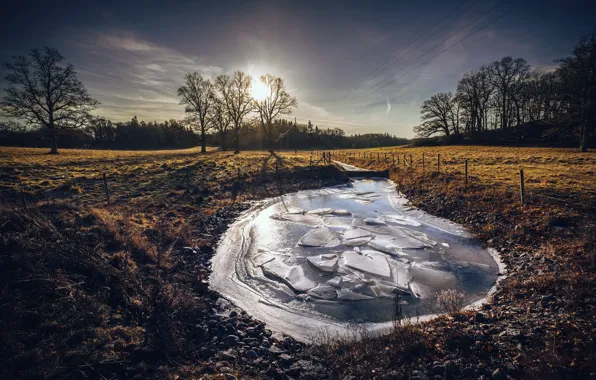Ice, winter, pond, morning