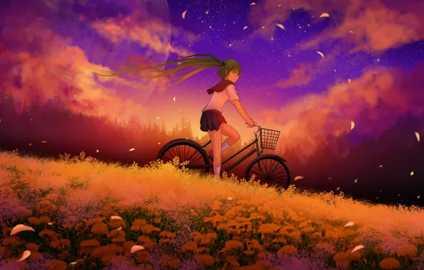 The sky, girl, clouds, sunset, flowers, bike, the moon, anime