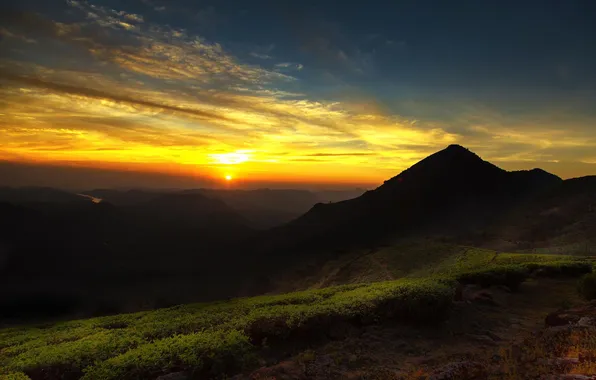 Grass, landscape, sunset, nature, green, the sky. mountains