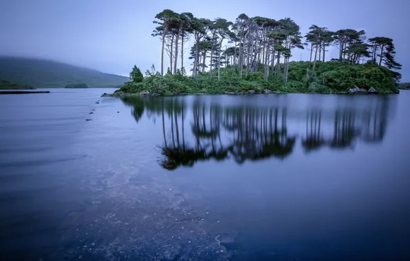 Picture trees, lake, reflection, island, Ireland, Ireland, Connemara, Connemara