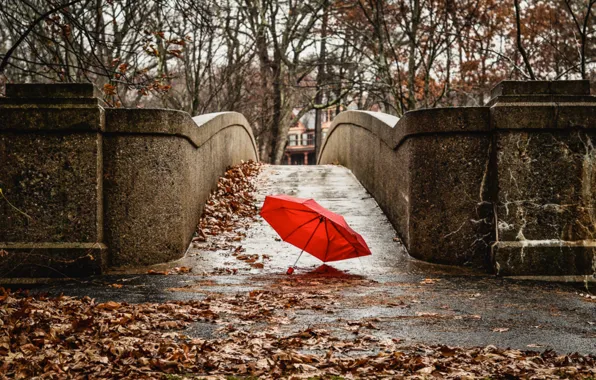 Picture autumn, red, bridge, the city, umbrella