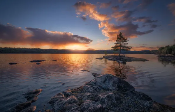 Water, clouds, trees, sunset, lake, Norway, island, pine
