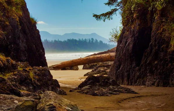 Picture beach, trees, mountains, rocks, Canada, Tofino