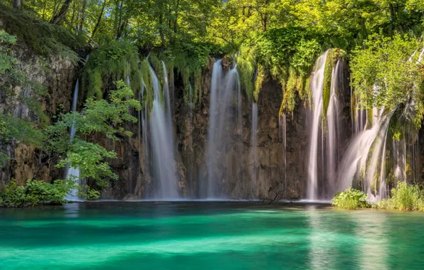 Trees, waterfall, Croatia