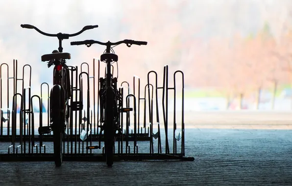 Bike, the city, background