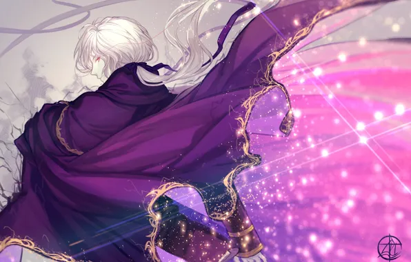 Guy, cloak, Avenger, Fate/Grand Campaign, Fate / Grand Order, Edmond Dantès