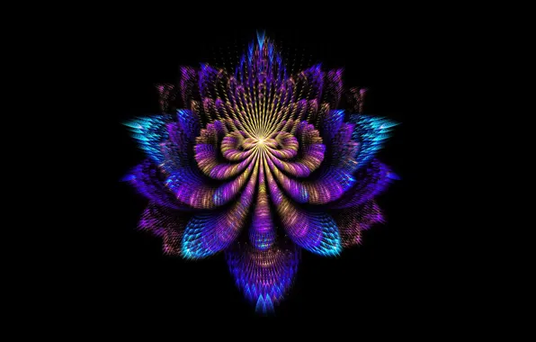 Flower, background, fractal, folds