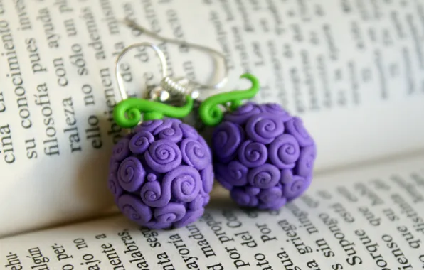 Picture text, earrings, book