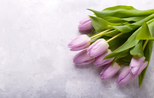 Picture flowers, bouquet, tulips, fresh, pink, flowers, lilac, tulips