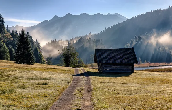 Road, grass, trees, mountains, fog, lake, morning, Germany