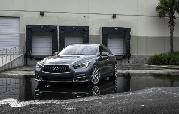 Picture Infiniti, Water, Gray, Reflection, Q50, 3/4