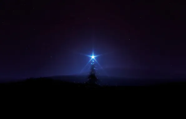 Darkness, the darkness, star, tree, lonely tree, dark sky, in the dark