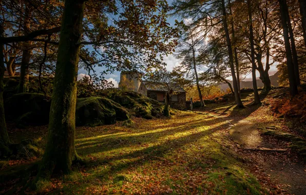 Picture autumn, Wales, Snowdonia, Dolbadarn castle