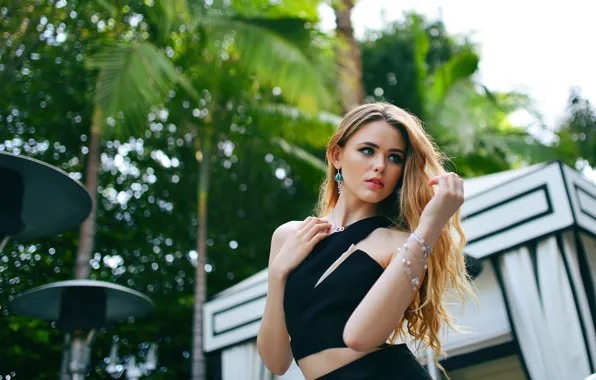 Girl, palm trees, sweetheart, model, hair, blonde, beautiful, looks