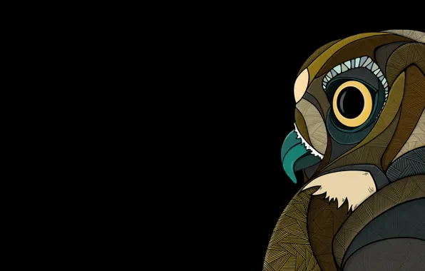 Picture abstraction, owl, bird, beak