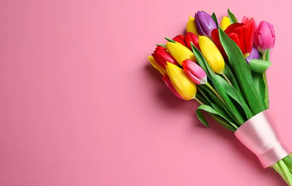 Flowers, bouquet, colorful, tulips, flowers, tulips, spring, bouquet