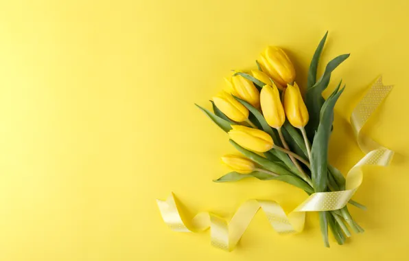 Flowers, bouquet, tape, yellow tulips