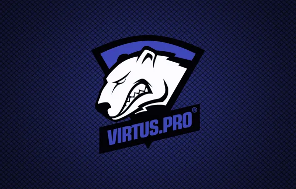 Dota, WoT, csgo, dota 2, bears, cyber sport, virtuspro