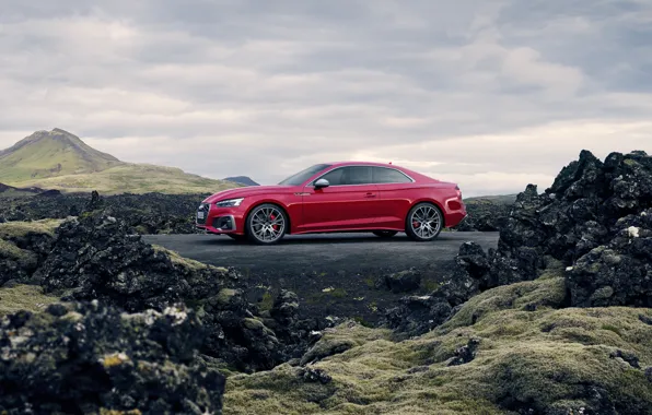 Audi, TDI, side view, Coupe, Audi S5, 2020