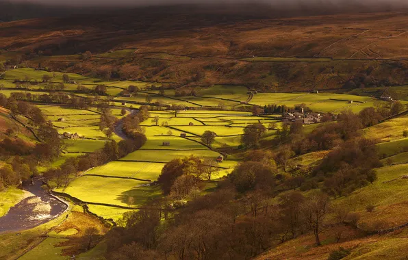 Trees, hills, field, England, Yorkshire, Swaledale Valley