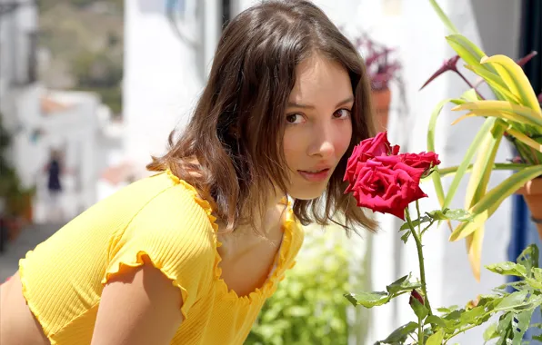 Model, awesome, brunette, outside, gorgeous, photoshoot, posing, red flower