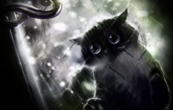 Picture rain, window, handle, black cat