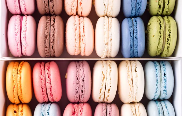 Background, colors, colorful, french, macaron, macaroon
