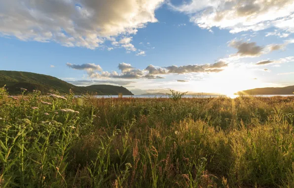 The sun, landscape, nature, meadow, Fleur Walton