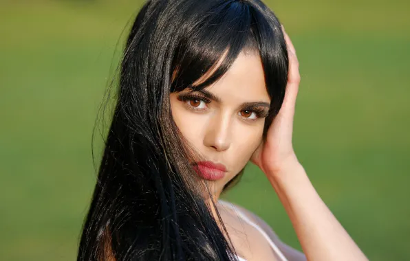 Picture look, face, hair, brunette, beauty