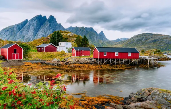 Autumn, mountains, houses, pond, Rowan, Lofoten