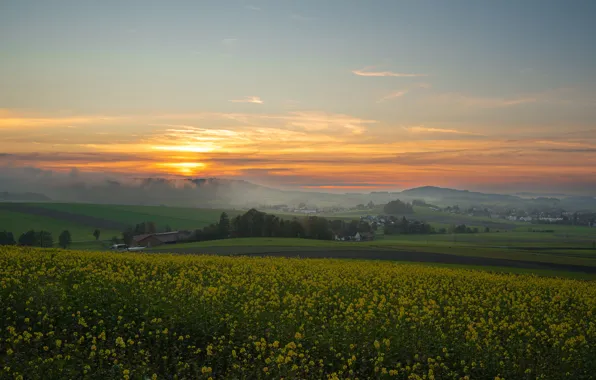Field, fog, dawn, hills, spring, dal, morning, village