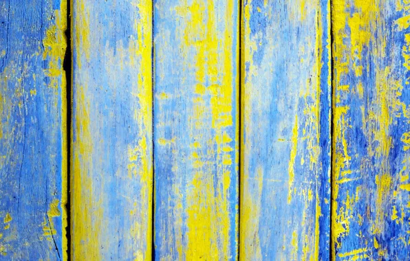 Tree, paint, structure
