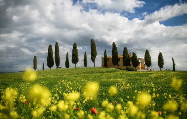 Clouds, trees, landscape, flowers, nature, spring, Italy, meadows