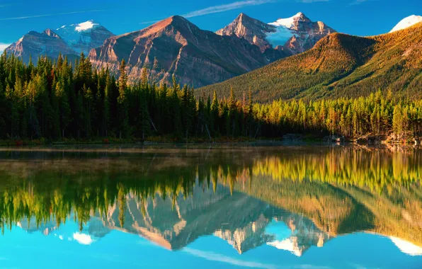 Forest, mountains, lake, Canada, Herbert